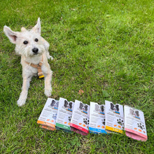 Load image into Gallery viewer, DoggyRade Meat Snack With Prebiotics & Superfoods For Dogs Six Flavours