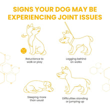 Load image into Gallery viewer, Vetzyme High Strength Flexible Joint Tablets 90 tablets