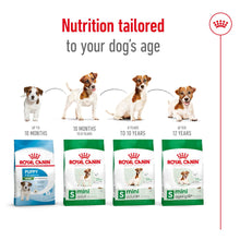 Load image into Gallery viewer, Royal Canin Mini Adult Dry Dog Food - All Sizes