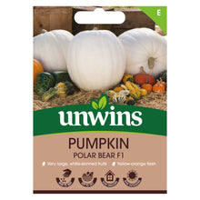 Load image into Gallery viewer, Pumpkin Polar Bear F1