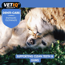 Load image into Gallery viewer, VETIQ Denti-Care Enzymatic Toothpaste 70g
