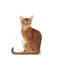 Load image into Gallery viewer, Royal Canin Savour Exigent Cat Food