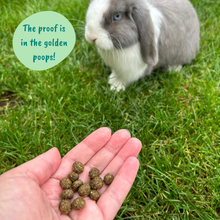 Load image into Gallery viewer, HayDay Moreish Meadow Hay