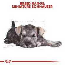 Load image into Gallery viewer, Royal Canin Miniature Schnauzer Puppy Food 1.5kg