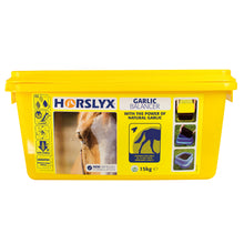 Load image into Gallery viewer, Horslyx Balancer Lick 15kg