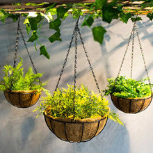 Load image into Gallery viewer, Growers Choice Hanging Basket Chain 3 leg 40cm