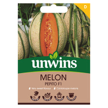 Load image into Gallery viewer, Unwins Sweet Summer Fruit Seed Bundle