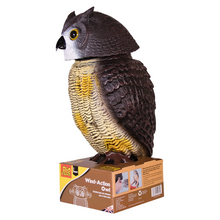Load image into Gallery viewer, The Big Cheese Wind-Action Owl