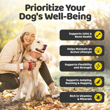 Load image into Gallery viewer, Our Dogs Life Hip & Joint Chews 140 Chews