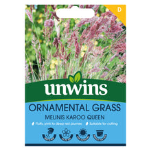 Load image into Gallery viewer, Ornamental Grass Melinis Karoo Queen