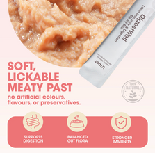 Load image into Gallery viewer, Litpet Digest Well Meaty Mix 10 x 15g Sachets per pack