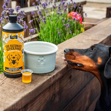 Load image into Gallery viewer, Proflax Skin & Coat Supplement