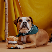 Load image into Gallery viewer, Bark More S'Mores Dog Toy
