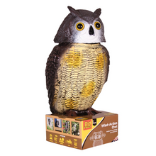 Load image into Gallery viewer, The Big Cheese Wind-Action Owl