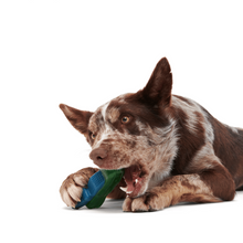 Load image into Gallery viewer, Bark Crocness Monster Dog Toy
