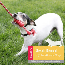 Load image into Gallery viewer, KONG Dental With Rope