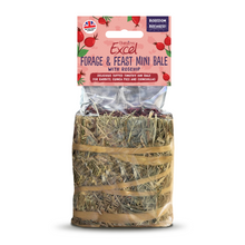Load image into Gallery viewer, Burgess Excel Forage & Feast Mini Hay Bale