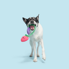 Load image into Gallery viewer, Bark Best Berry Friends Dog Toy