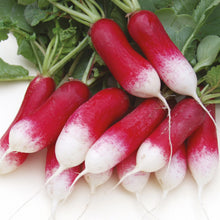 Load image into Gallery viewer, Radish French Patricia