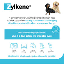 Load image into Gallery viewer, Zylkene Calming Chews for Dogs