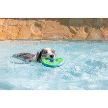 Load image into Gallery viewer, Chuckit! Zipflight Frisbee Toy For Dogs Medium 21cm