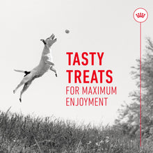Load image into Gallery viewer, Royal Canin Training Treats 110g