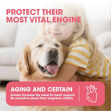 Load image into Gallery viewer, Litpet CardioPlus Heart Support Powder 200g