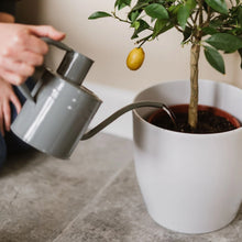 Load image into Gallery viewer, Kent & Stowe Indoor Metal Watering Can Warm Grey 1L