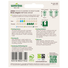 Load image into Gallery viewer, Zinnia Dahlia-flowered Scarlet Flame