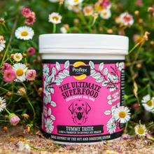 Load image into Gallery viewer, Proflax Tummy Tastic