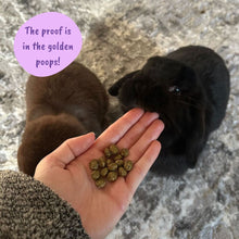 Load image into Gallery viewer, HayDay Coarse and Crunchy Alfalfa Hay