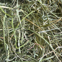 Load image into Gallery viewer, HayDay Coarse and Crunchy Alfalfa Hay