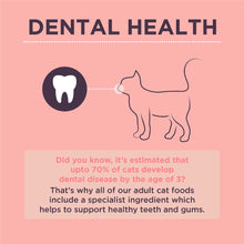 Load image into Gallery viewer, Burgess Adult Cat Scottish Salmon Dried Food