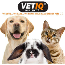 Load image into Gallery viewer, VETIQ Healthy Bites For Cats Variety Pack, 4 x 65G