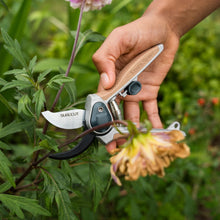 Load image into Gallery viewer, Kent & Stowe Garden Life All Purpose Mini Secateurs