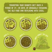 Load image into Gallery viewer, Burgess Excel Adult Rabbit Nuggets with Mint 1.5kg 3kg 10kg