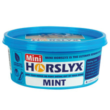 Load image into Gallery viewer, Horslyx Mini Licks - Various Options