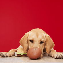 Load image into Gallery viewer, Bark Turkey Barker Dog Toy