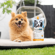 Load image into Gallery viewer, DoggyRade Isotonic Fluid Support Drink for Pet Dogs 250ml