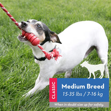 Load image into Gallery viewer, KONG Dental With Rope