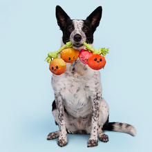 Load image into Gallery viewer, Bark Hairloom Tomatoes Dog Toy