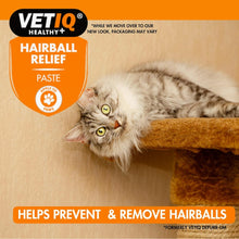 Load image into Gallery viewer, VETIQ Hairball Relief 70G