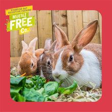 Load image into Gallery viewer, Burgess Excel Mature Rabbit Food Nuggets With Cranberry & Thyme 1.5kg