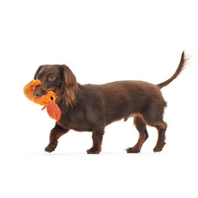 Load image into Gallery viewer, Bark Della Crawfish Dog Toy