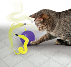 Load image into Gallery viewer, KONG Purrsuit Whirlwind