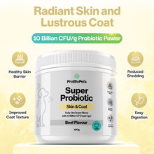 Load image into Gallery viewer, ProBioPets Daily Probiotic Skin and Coat Powder 100g