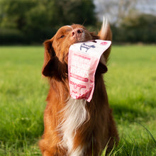 Load image into Gallery viewer, Hownd Got An Itch Wellness Treats 100g