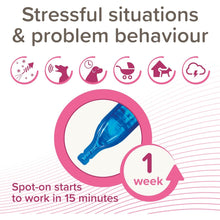 Load image into Gallery viewer, Beaphar CaniComfort Calming Pheromone Spot-On For Dogs For Stressful Situations