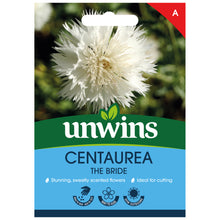 Load image into Gallery viewer, Centaurea The Bride