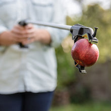 Load image into Gallery viewer, Gardman Easy Picker CDU